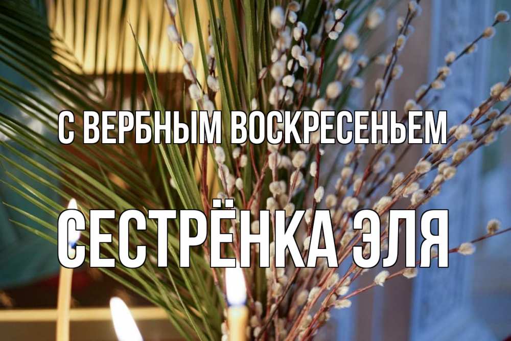 Открытка на каждый день с именем, Сестрёнка-Эля С вербным воскресеньем верба Прикольная открытка с пожеланием онлайн скачать бесплатно 