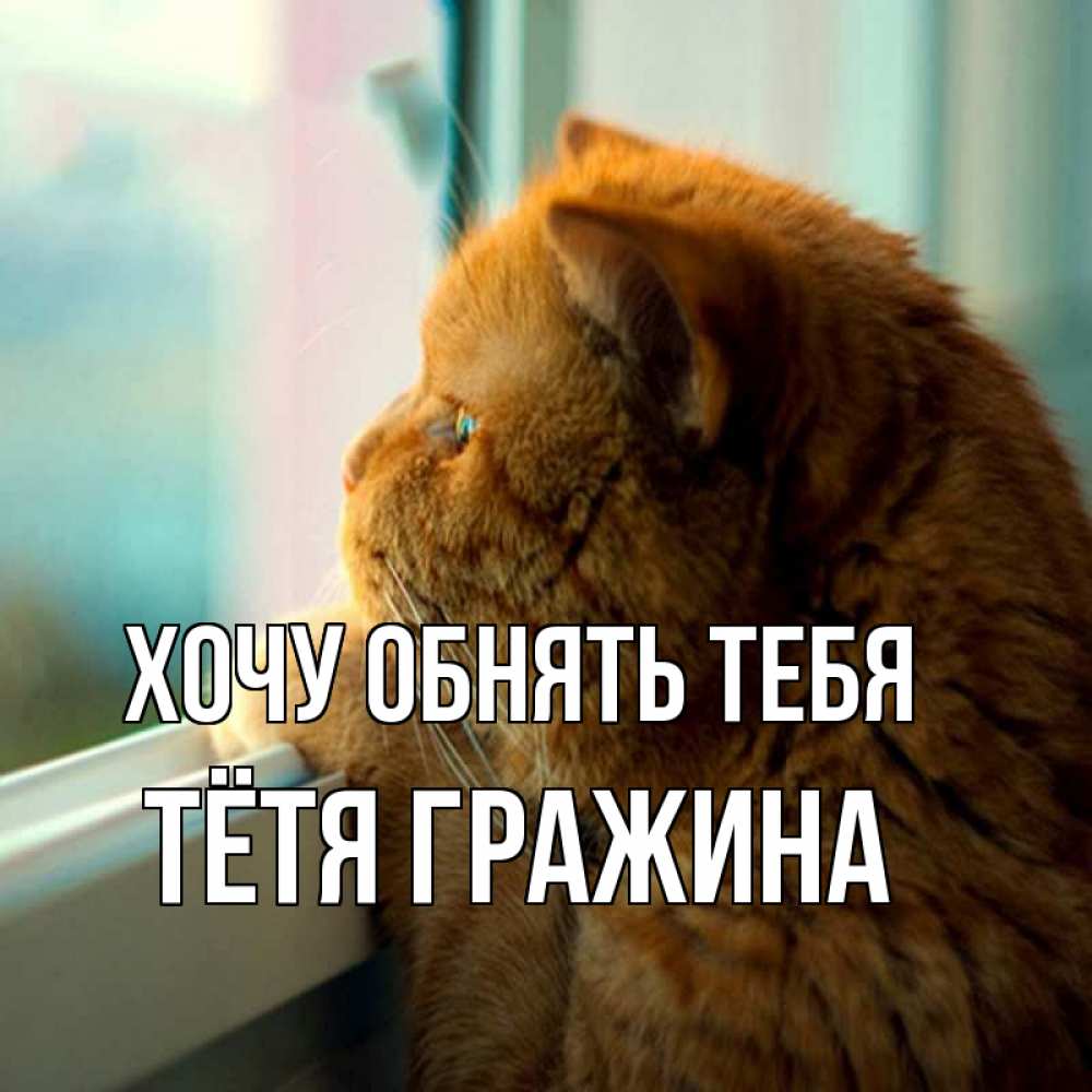 Открытка на каждый день с именем, Тётя-Гражина Хочу обнять тебя большой огромный рыжий котяра Прикольная открытка с пожеланием онлайн скачать бесплатно 