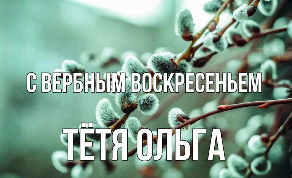 Открытка на каждый день с именем, Тётя-Ольга С вербным воскресеньем верба Прикольная открытка с пожеланием онлайн скачать бесплатно 
