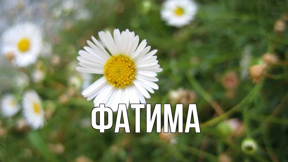 Открытка на каждый день с именем, Фатима Главная с днем семьи Прикольная открытка с пожеланием онлайн скачать бесплатно 