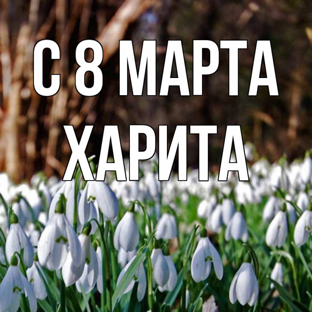 Открытка на каждый день с именем, Харита С 8 МАРТА с подснежниками 1 Прикольная открытка с пожеланием онлайн скачать бесплатно 