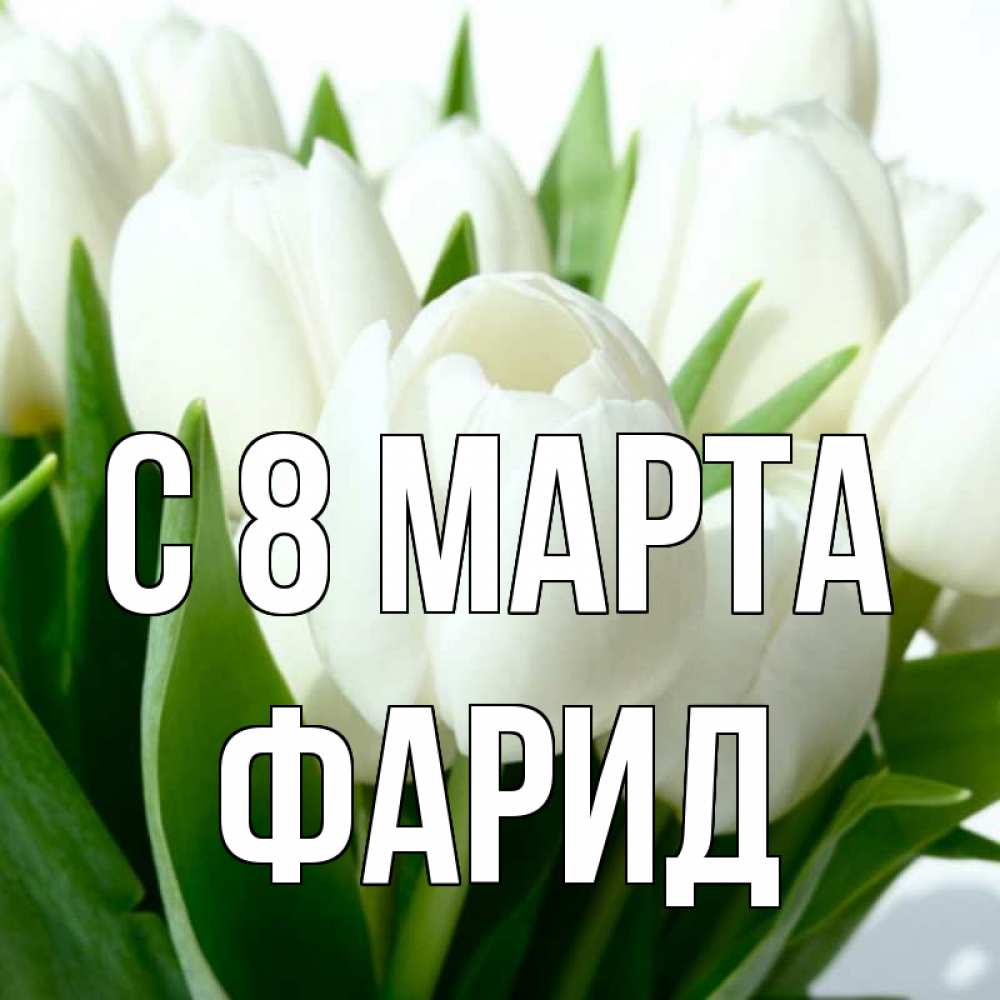 Открытка на каждый день с именем, Фарид С 8 МАРТА цветы Прикольная открытка с пожеланием онлайн скачать бесплатно 