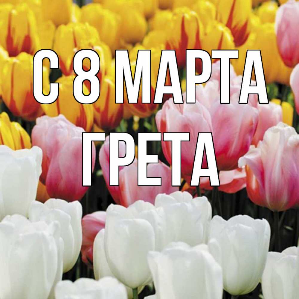 Открытка на каждый день с именем, Грета С 8 МАРТА разноцветные цветы Прикольная открытка с пожеланием онлайн скачать бесплатно 