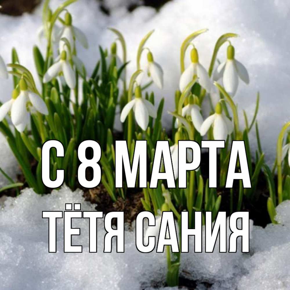 Открытка на каждый день с именем, Тётя-Сания С 8 марта цветы весенние Прикольная открытка с пожеланием онлайн скачать бесплатно 