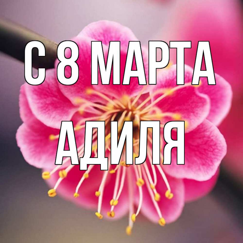 Открытка на каждый день с именем, Адиля С 8 МАРТА цветы Прикольная открытка с пожеланием онлайн скачать бесплатно 