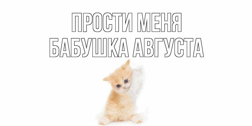 Открытка на каждый день с именем, Бабушка-Августа Прости меня кот Прикольная открытка с пожеланием онлайн скачать бесплатно 