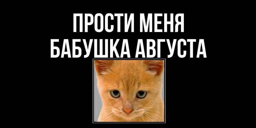 Открытка на каждый день с именем, Бабушка-Августа Прости меня рыжий грустный кот просит прощения Прикольная открытка с пожеланием онлайн скачать бесплатно 