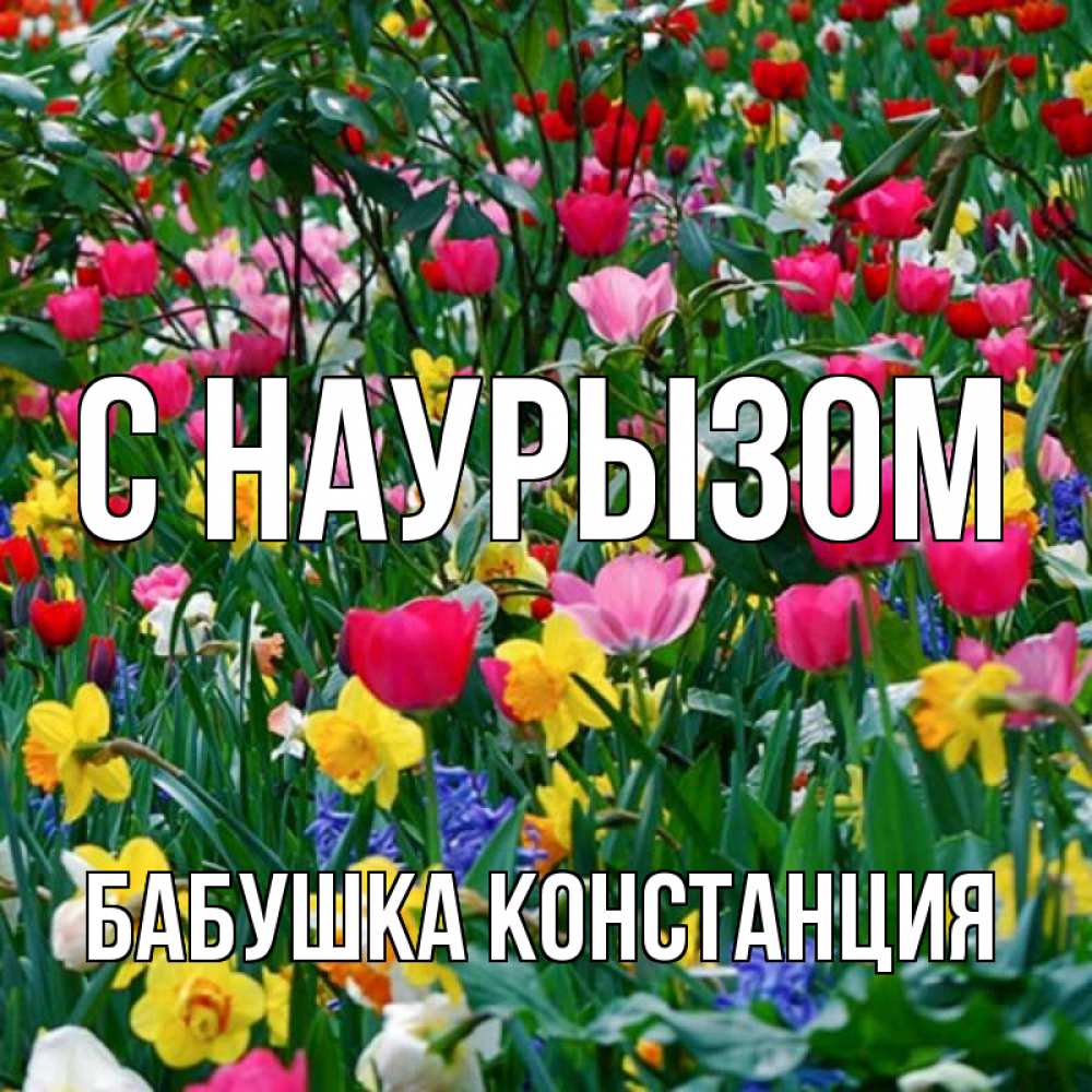 Открытка на каждый день с именем, Бабушка-Констанция С наурызом с наурызом праздником весны поздравления для женщины Прикольная открытка с пожеланием онлайн скачать бесплатно 