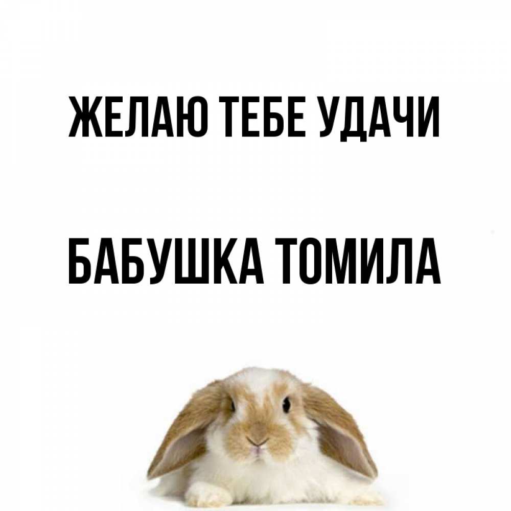 Открытка на каждый день с именем, Бабушка-Томила Желаю тебе удачи открытки с произвольным текстом который можно вставить в открытку и создать ее самостоятельно бесплатно онлайн Прикольная открытка с пожеланием онлайн скачать бесплатно 