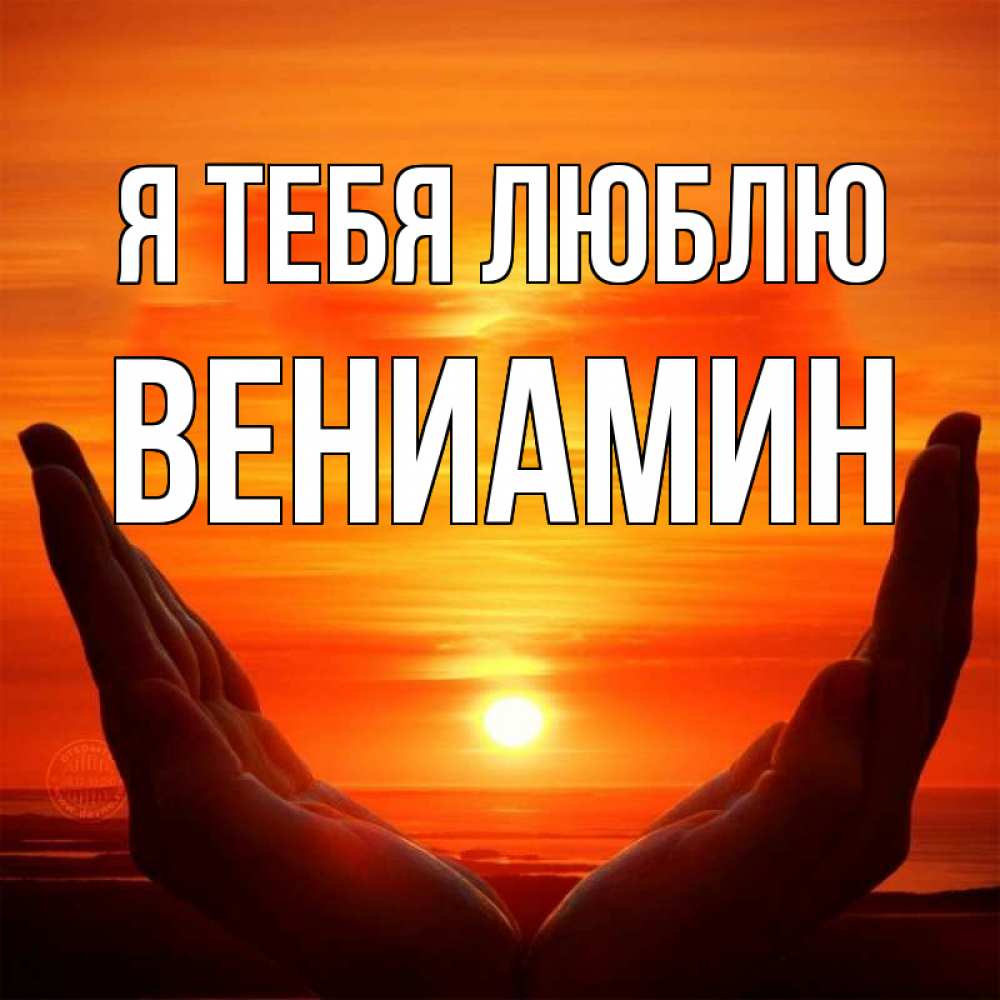 Открытка на каждый день с именем, Вениамин Я тебя люблю в руках Прикольная открытка с пожеланием онлайн скачать бесплатно 