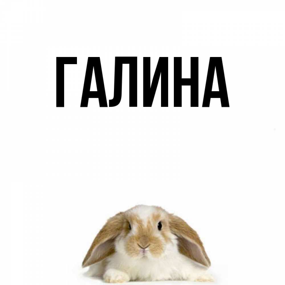 Открытка на каждый день с именем, Галина Главная открытки с произвольным текстом который можно вставить в открытку и создать ее самостоятельно бесплатно онлайн Прикольная открытка с пожеланием онлайн скачать бесплатно 