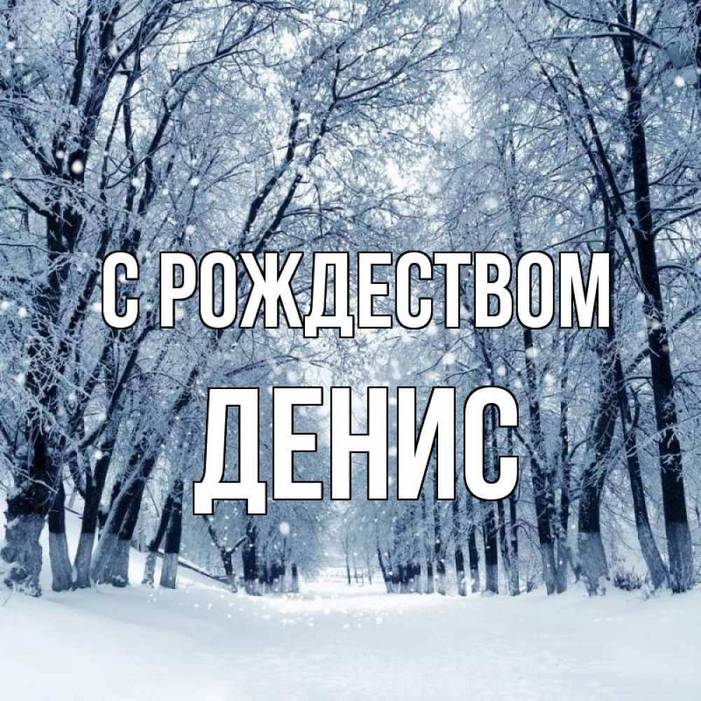 Открытка на каждый день с именем, Денис С рождеством снег, лес, парк Прикольная открытка с пожеланием онлайн скачать бесплатно 