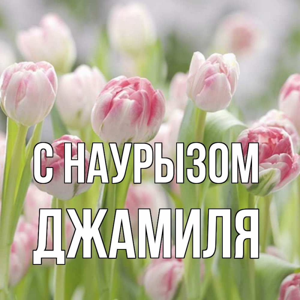 Открытка на каждый день с именем, Джамиля С наурызом цветы Прикольная открытка с пожеланием онлайн скачать бесплатно 