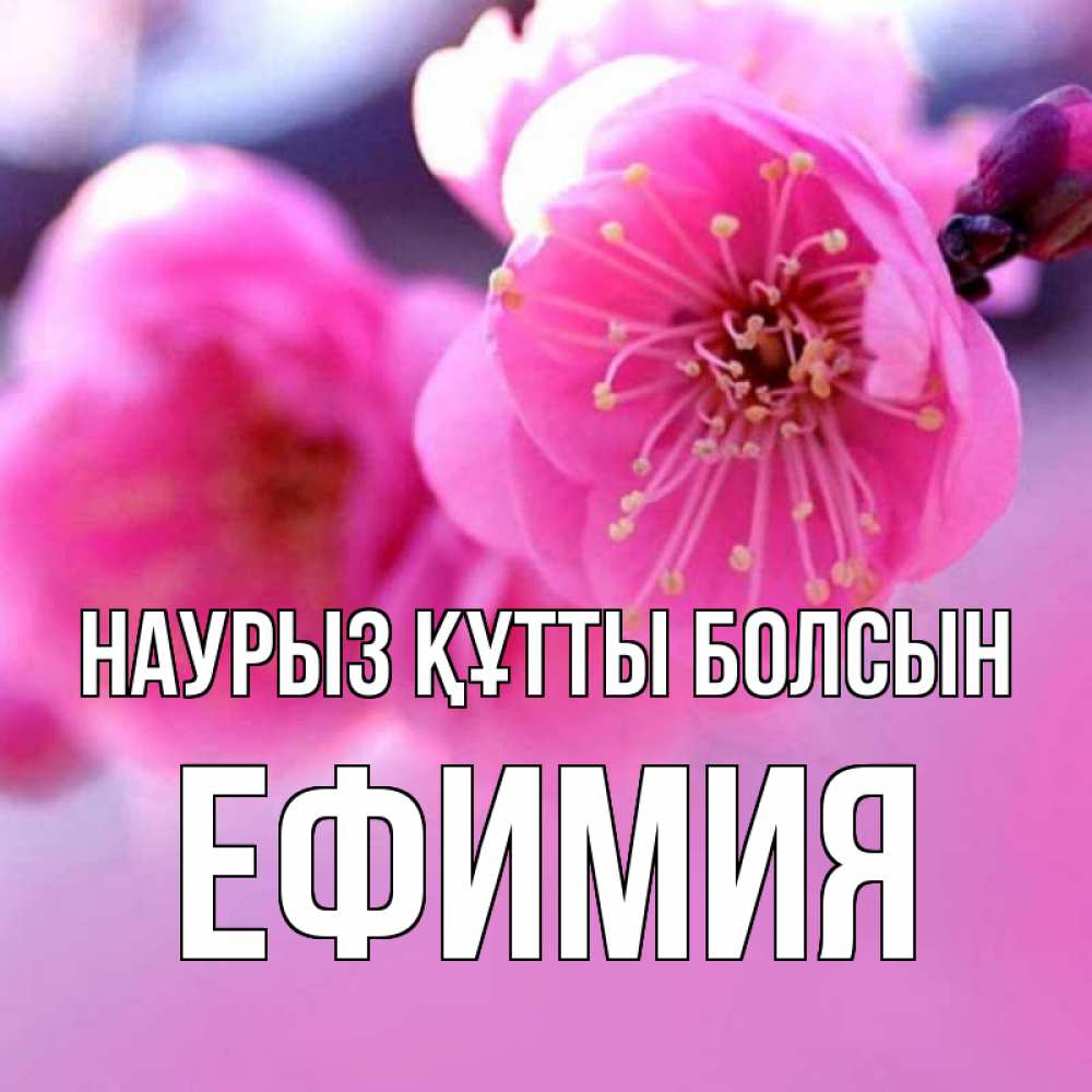 Открытка на каждый день с именем, Ефимия Наурыз құтты болсын наурыз мейрам Прикольная открытка с пожеланием онлайн скачать бесплатно 