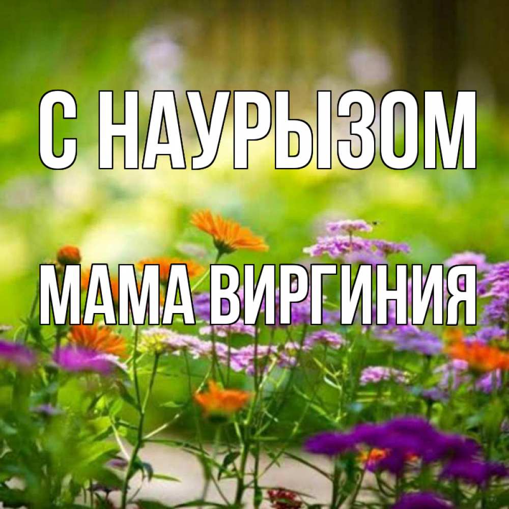 Открытка на каждый день с именем, Мама-Виргиния С наурызом цветы Прикольная открытка с пожеланием онлайн скачать бесплатно 