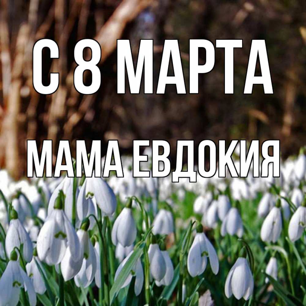 Открытка на каждый день с именем, Мама-Евдокия С 8 МАРТА с подснежниками 1 Прикольная открытка с пожеланием онлайн скачать бесплатно 