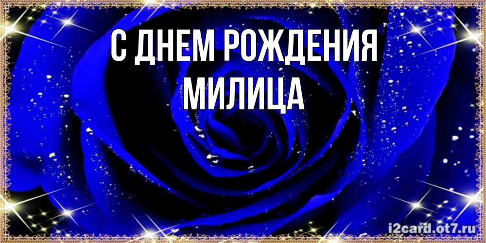 Открытка на каждый день с именем, Милица С днем рождения голубые цветы в росе Прикольная открытка с пожеланием онлайн скачать бесплатно 
