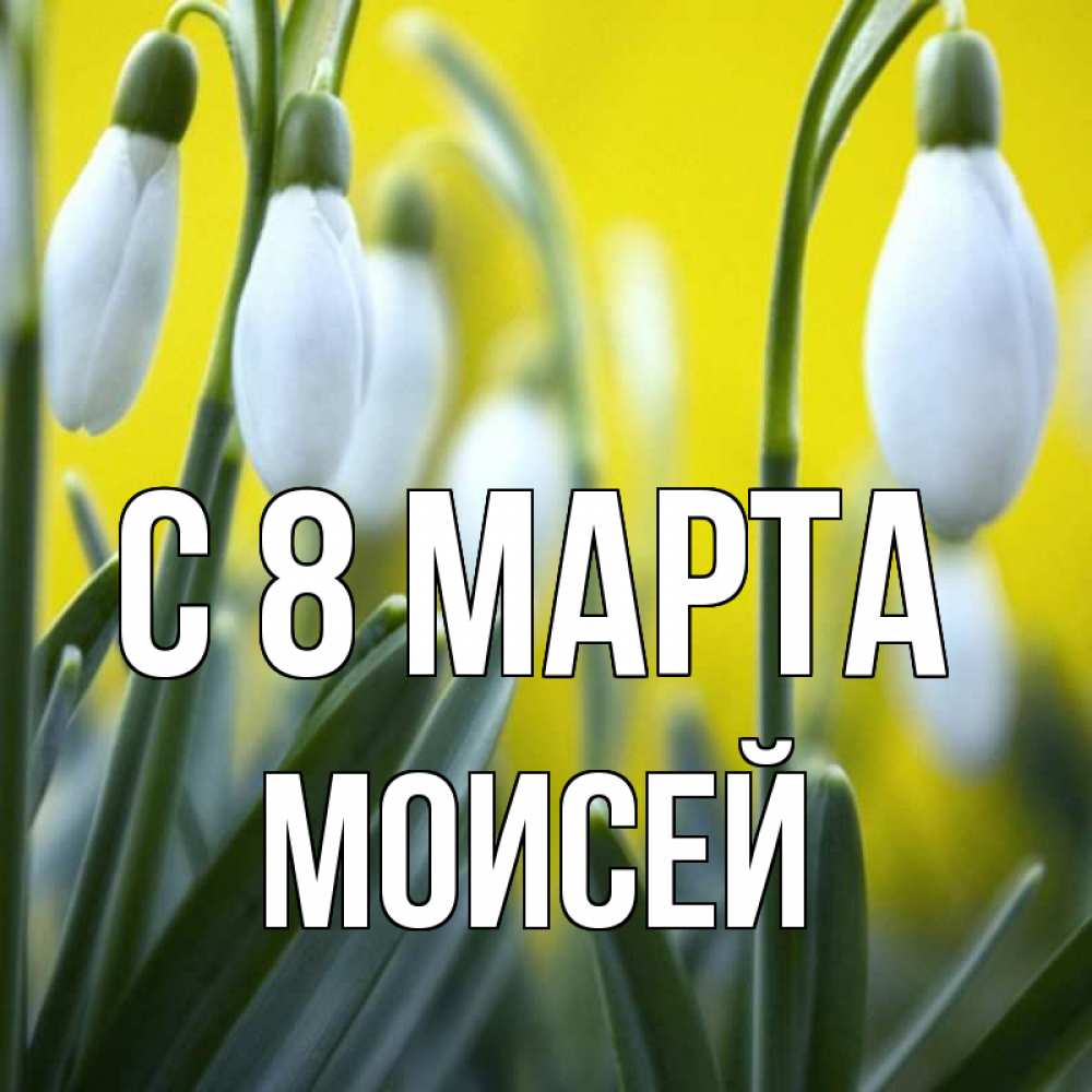 Картинка С 8 марта, Моисей
