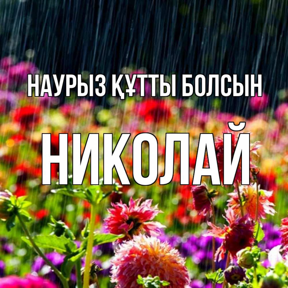 Открытка на каждый день с именем, Николай Наурыз құтты болсын цветы под дождиком к наурызу Прикольная открытка с пожеланием онлайн скачать бесплатно 