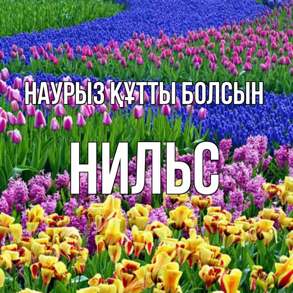 Открытка на каждый день с именем, Нильс Наурыз құтты болсын цветы Прикольная открытка с пожеланием онлайн скачать бесплатно 