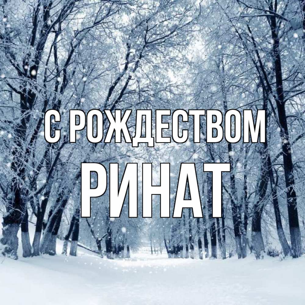 Открытка на каждый день с именем, Ринат С рождеством снег, лес, парк Прикольная открытка с пожеланием онлайн скачать бесплатно 