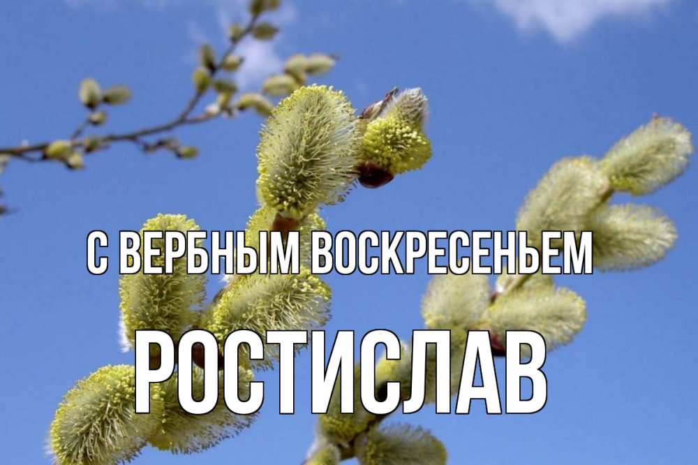 Открытка на каждый день с именем, Ростислав С вербным воскресеньем верба Прикольная открытка с пожеланием онлайн скачать бесплатно 