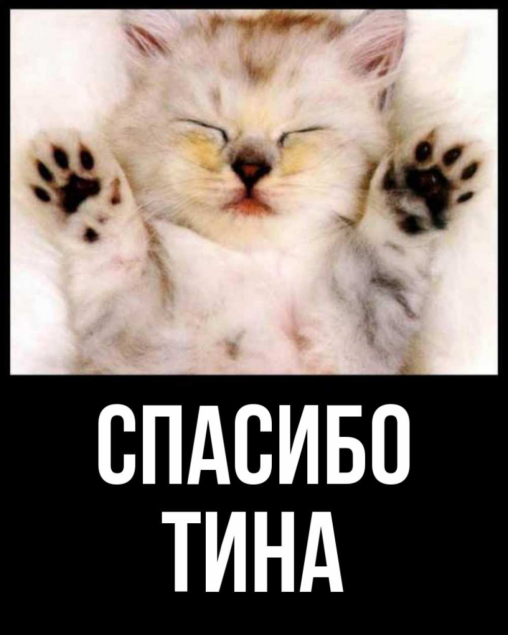 Открытка на каждый день с именем, Тина Спасибо маленький котенок Прикольная открытка с пожеланием онлайн скачать бесплатно 