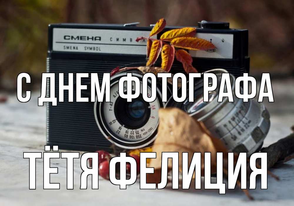 Открытка на каждый день с именем, Тётя-Фелиция С днем фотографа с днем фотографа Прикольная открытка с пожеланием онлайн скачать бесплатно 