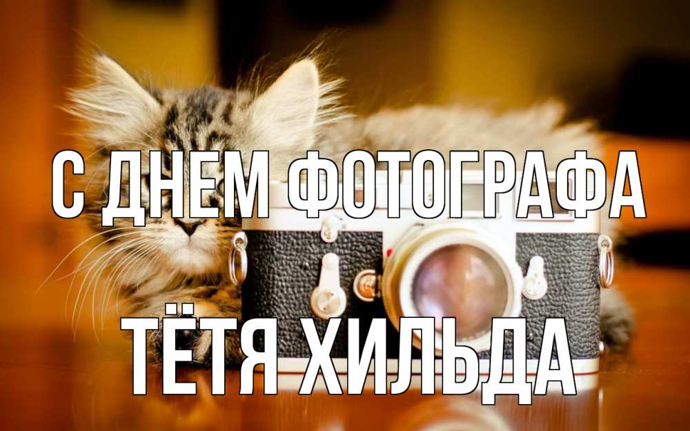 Открытка на каждый день с именем, Тётя-Хильда С днем фотографа с днем фотографа Прикольная открытка с пожеланием онлайн скачать бесплатно 