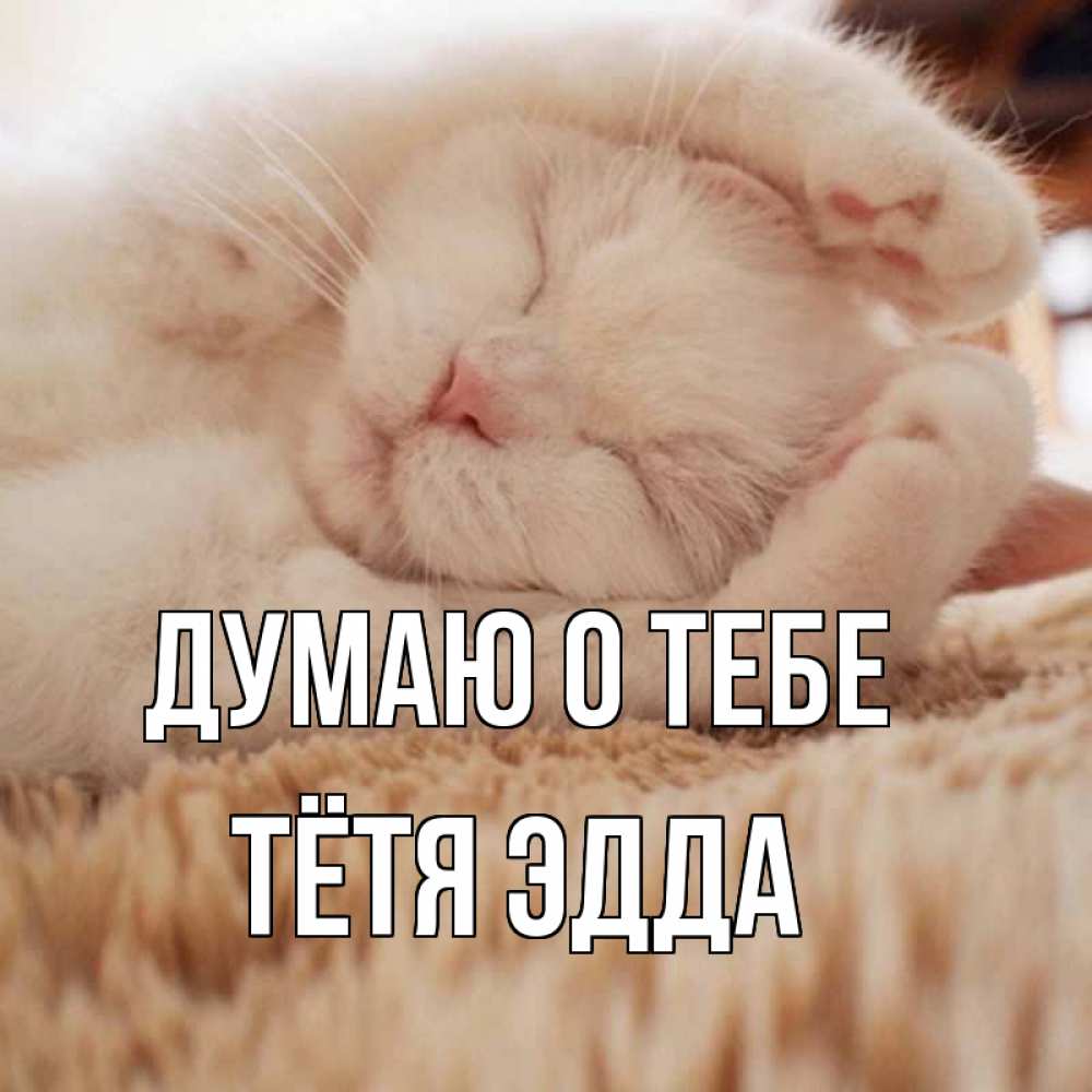 Открытка на каждый день с именем, Тётя-Эдда Думаю о тебе для любимой девушки милота Прикольная открытка с пожеланием онлайн скачать бесплатно 