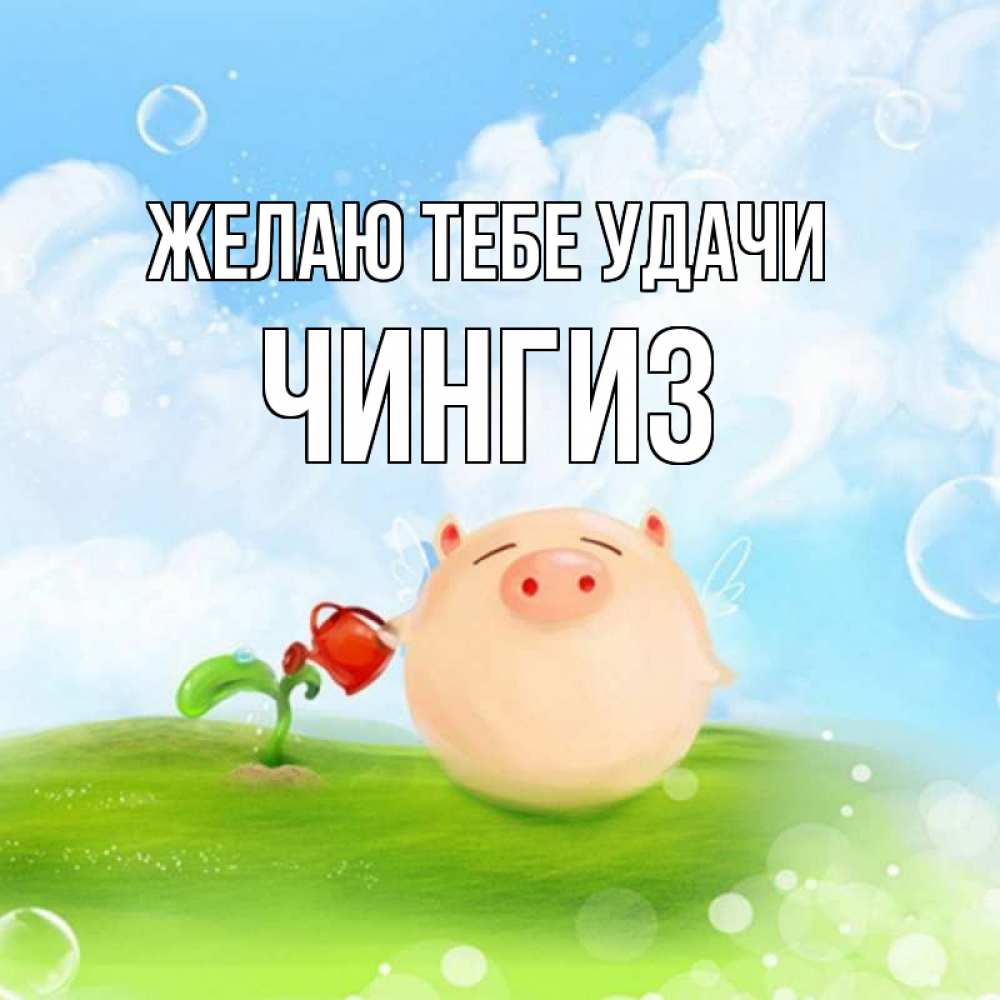 Открытка на каждый день с именем, Чингиз Желаю тебе удачи поросенок поливает цветок. летнее настроение Прикольная открытка с пожеланием онлайн скачать бесплатно 