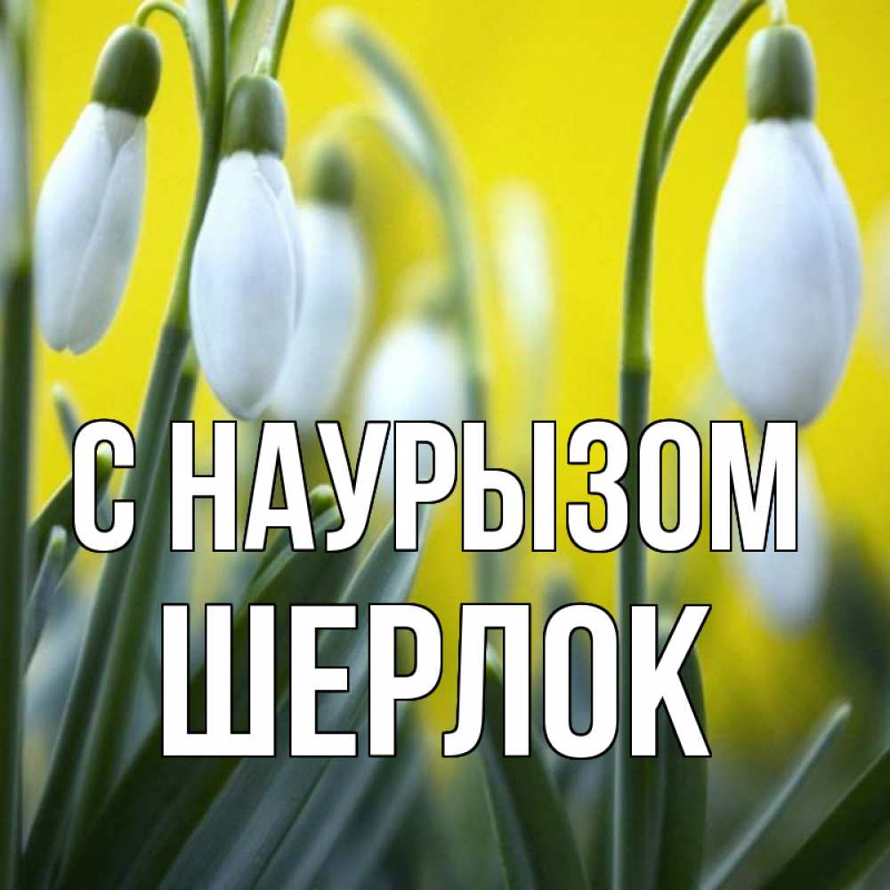 Открытка на каждый день с именем, Шерлок С наурызом весенние цветы Прикольная открытка с пожеланием онлайн скачать бесплатно 