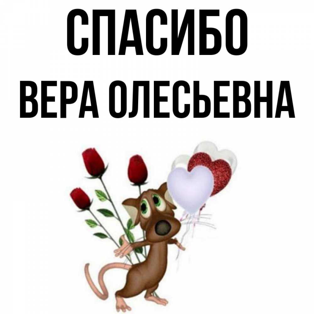 Спасибо Вера