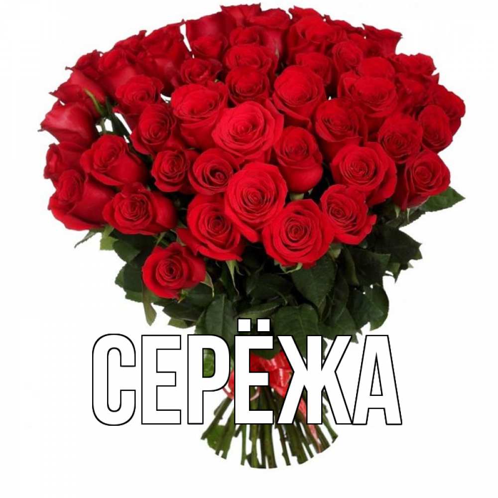 Картинка  с именем , Серёжа