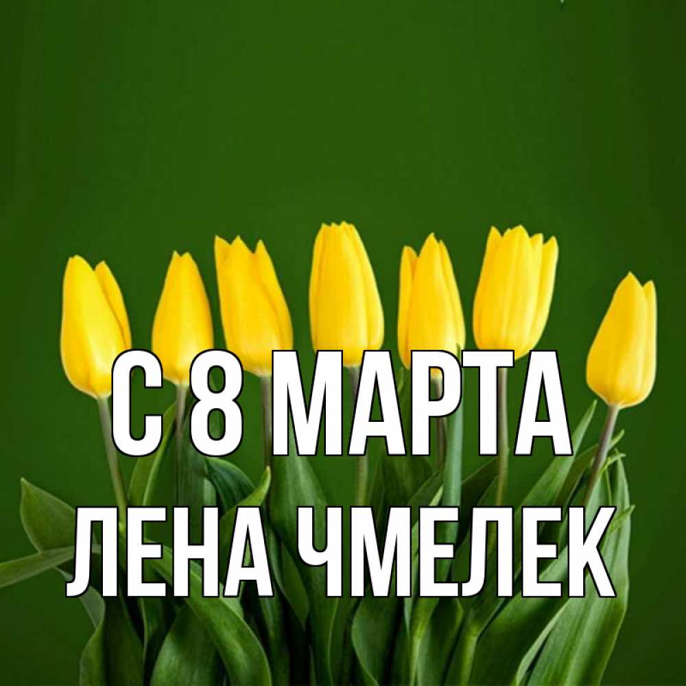 Фотографии багульника. Лена в марте. Лена в марте. С 8 мартом тюльпаны. Доброе утро хорошего дня тюльпаны.