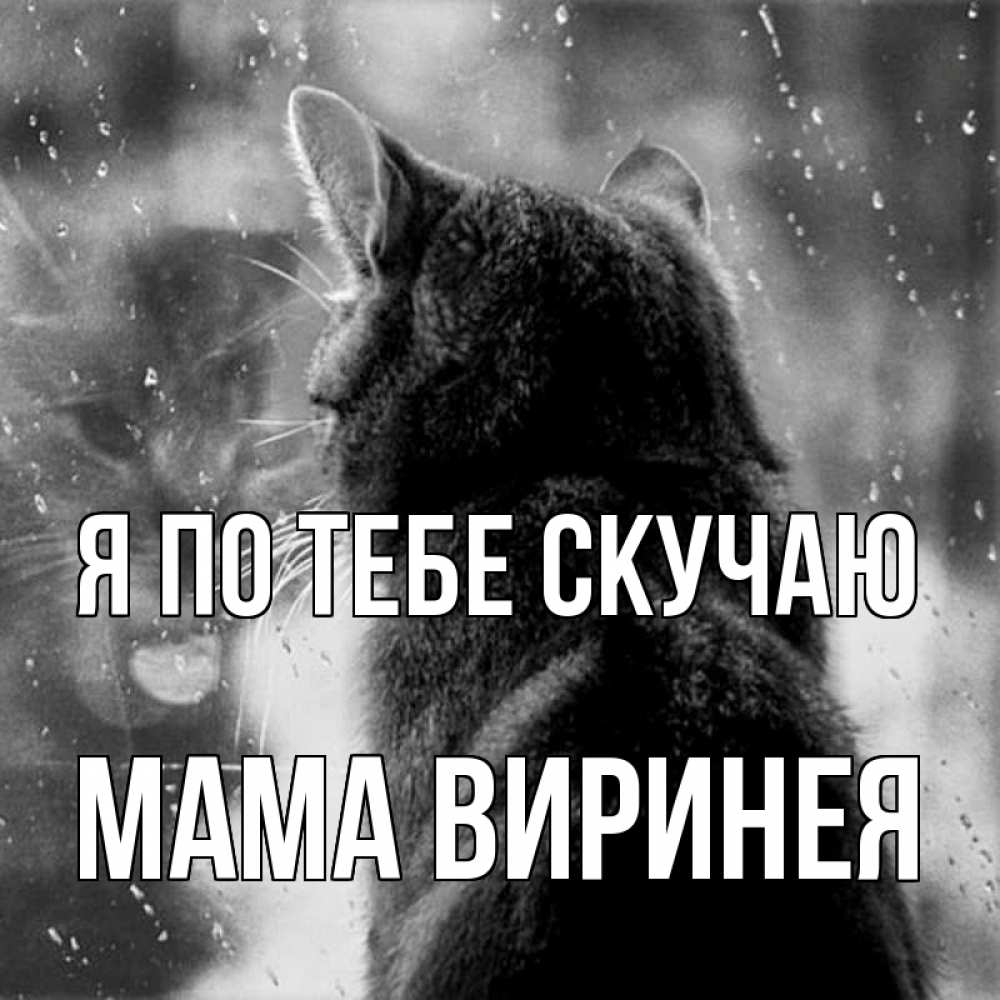 Открытка на каждый день с именем, Мама-Виринея Я по тебе скучаю скорее ко мне приходи 1 Прикольная открытка с пожеланием онлайн скачать бесплатно 