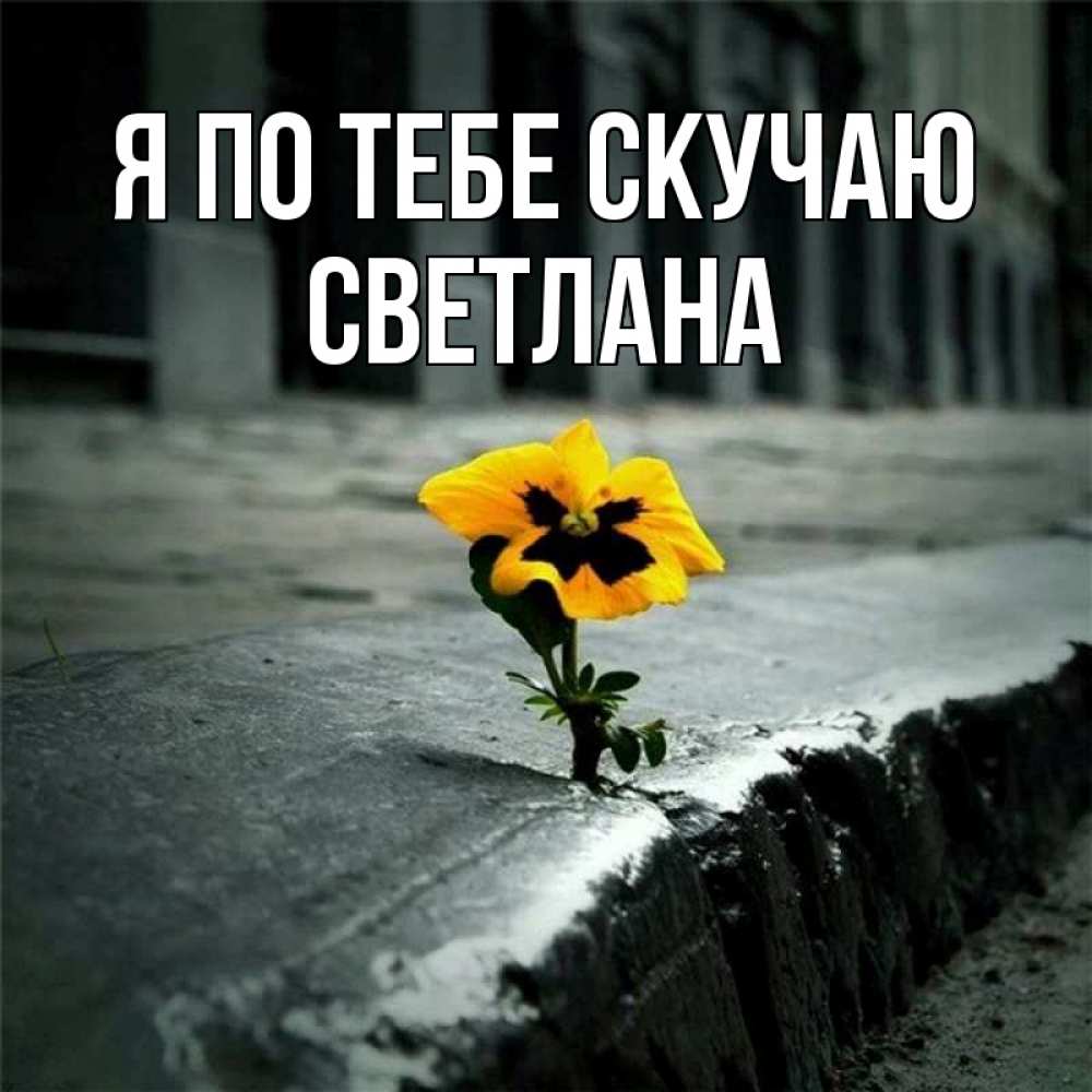 Открытка на каждый день с именем, Светлана Я по тебе скучаю надеюсь будет лучше Прикольная открытка с пожеланием онлайн скачать бесплатно 