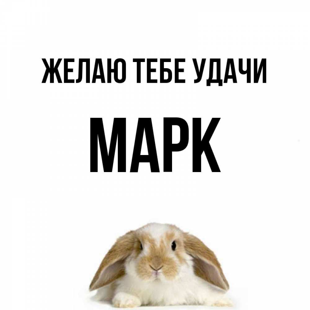 Марке удачи. Марке удачи