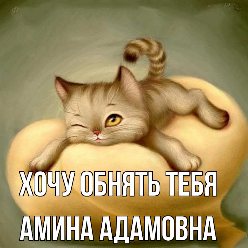 Открытка на каждый день с именем, Амина-Адамовна Хочу обнять тебя кошечка Прикольная открытка с пожеланием онлайн скачать бесплатно 