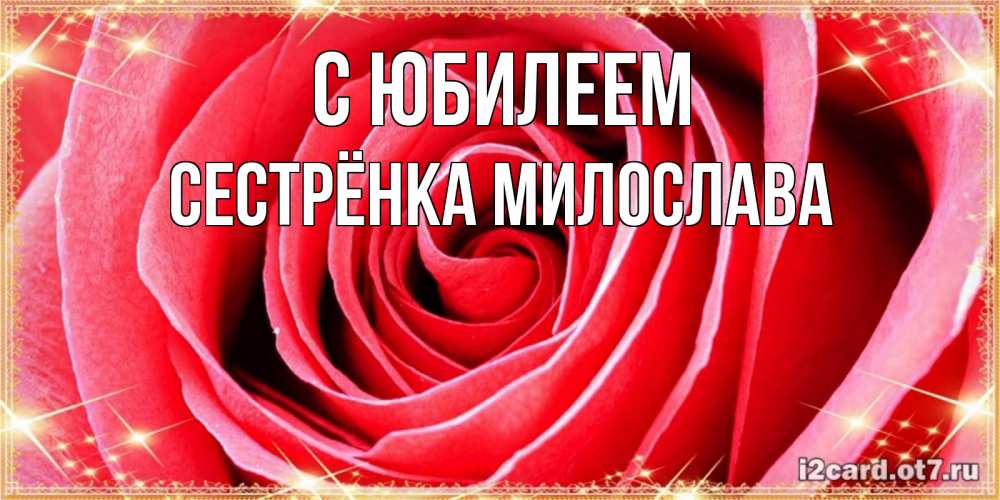 Открытка на каждый день с именем, Сестрёнка-Милослава С юбилеем розовая роза очень крупный бутон Прикольная открытка с пожеланием онлайн скачать бесплатно 