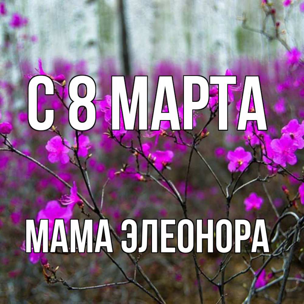 Открытка на каждый день с именем, Мама-Элеонора С 8 марта дикие цветы Прикольная открытка с пожеланием онлайн скачать бесплатно 