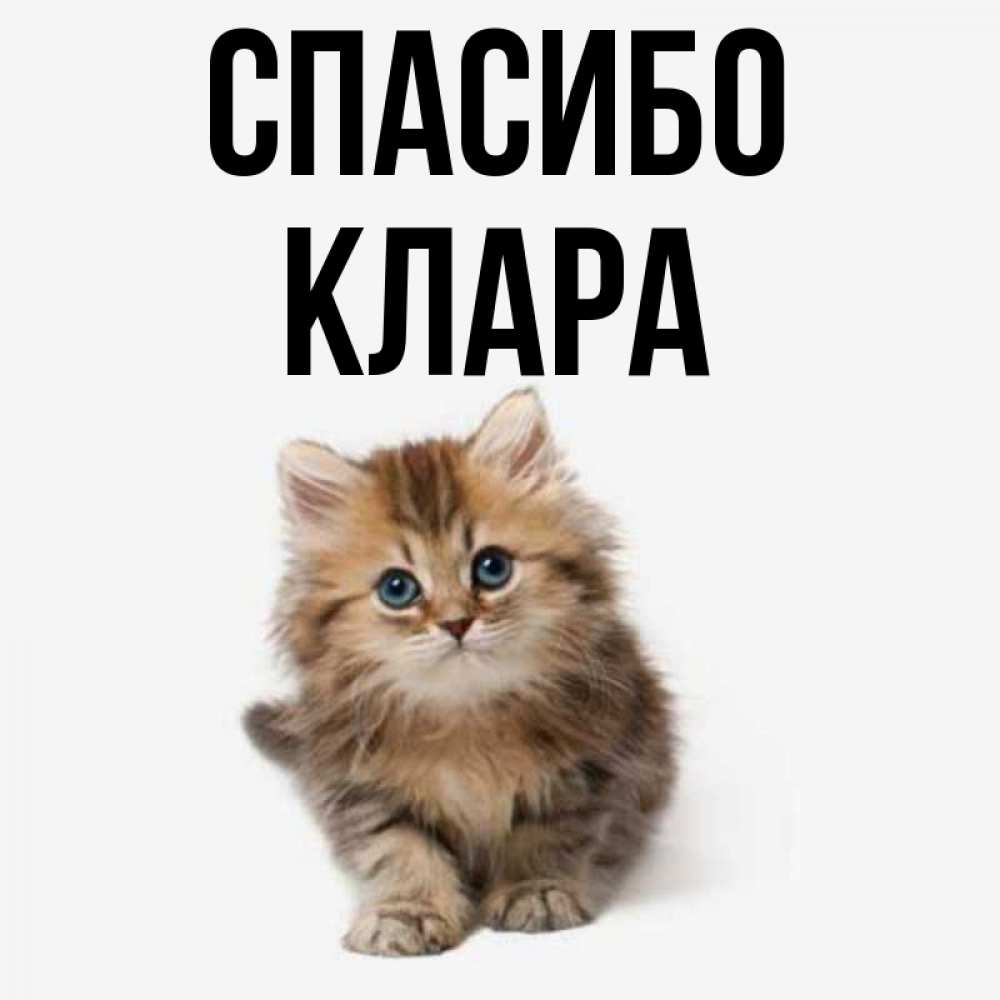 Открытка с именем, клара, Спасибо