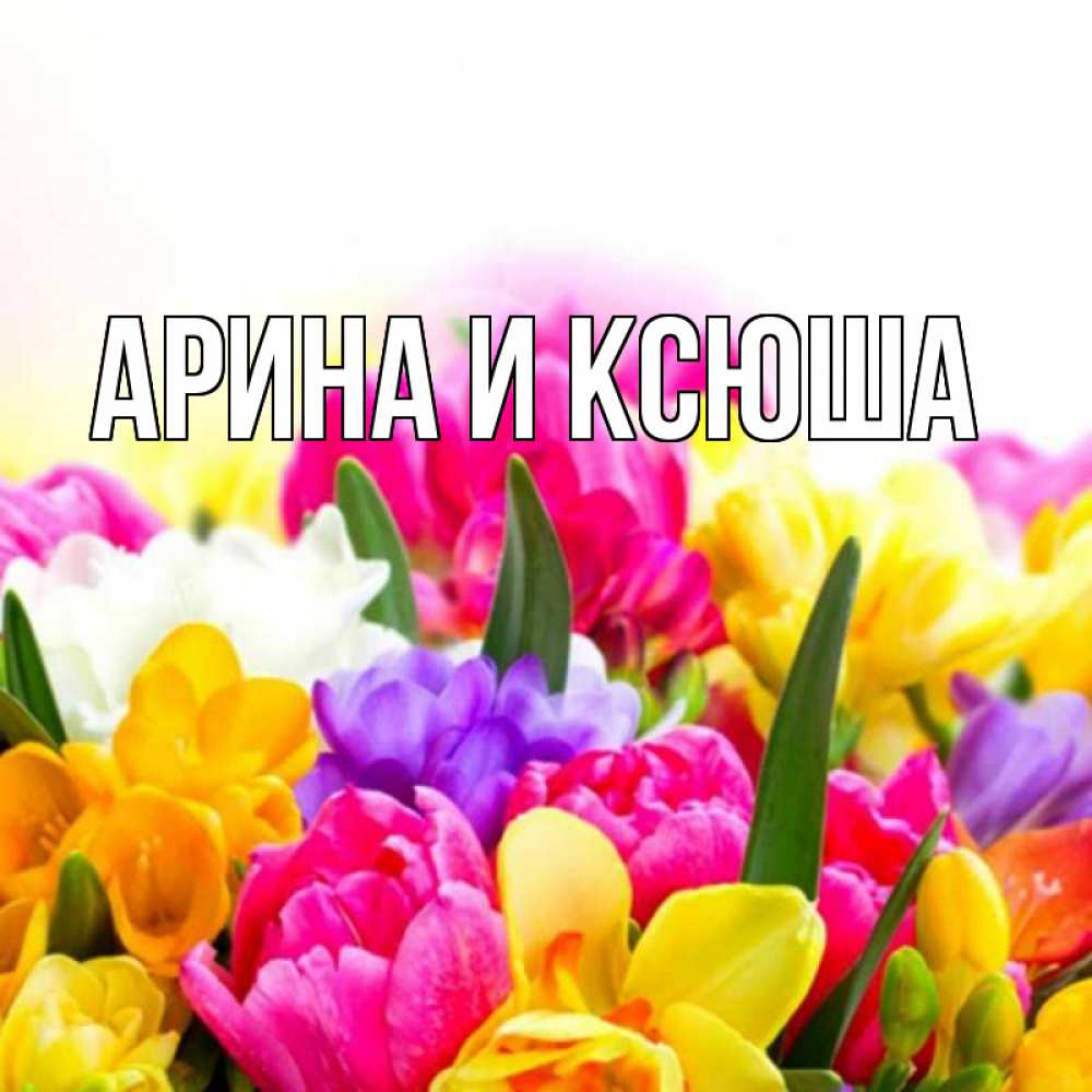 Открытка на каждый день с именем, Арина-и-Ксюша Главная тюльпаны Прикольная открытка с пожеланием онлайн скачать бесплатно 
