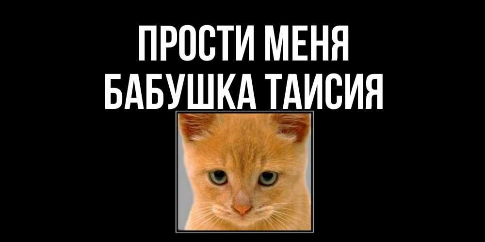 Открытка на каждый день с именем, Бабушка-Таисия Прости меня рыжий грустный кот просит прощения Прикольная открытка с пожеланием онлайн скачать бесплатно 