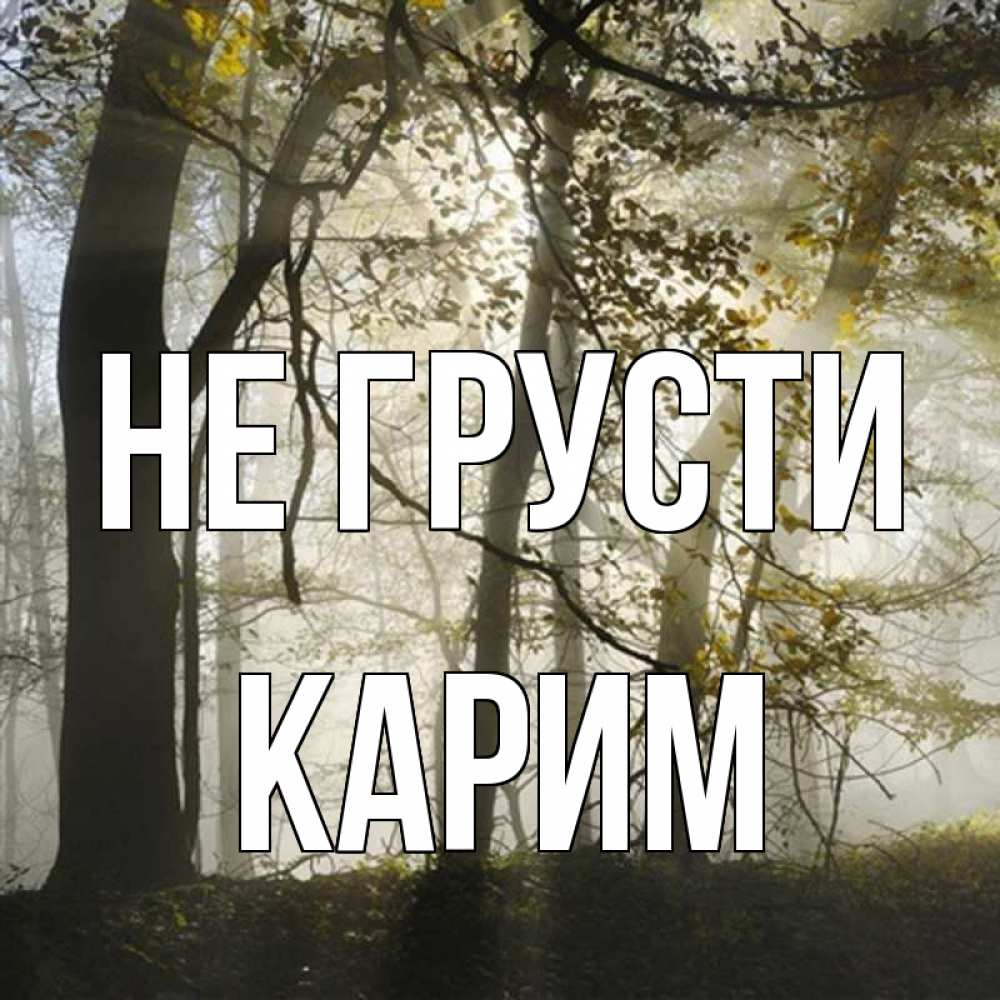 Открытка на каждый день с именем, Карим Не грусти лес и свет Прикольная открытка с пожеланием онлайн скачать бесплатно 