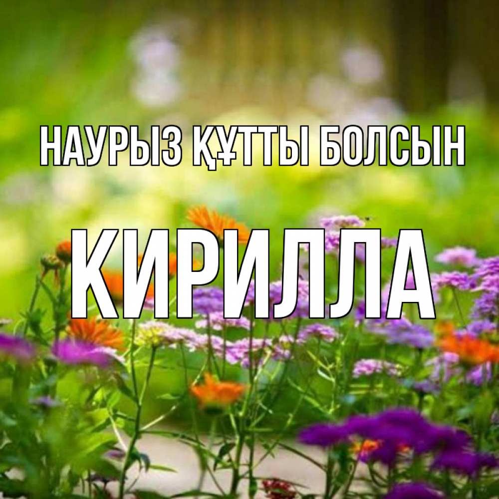 Открытка на каждый день с именем, Кирилла Наурыз құтты болсын цветы Прикольная открытка с пожеланием онлайн скачать бесплатно 