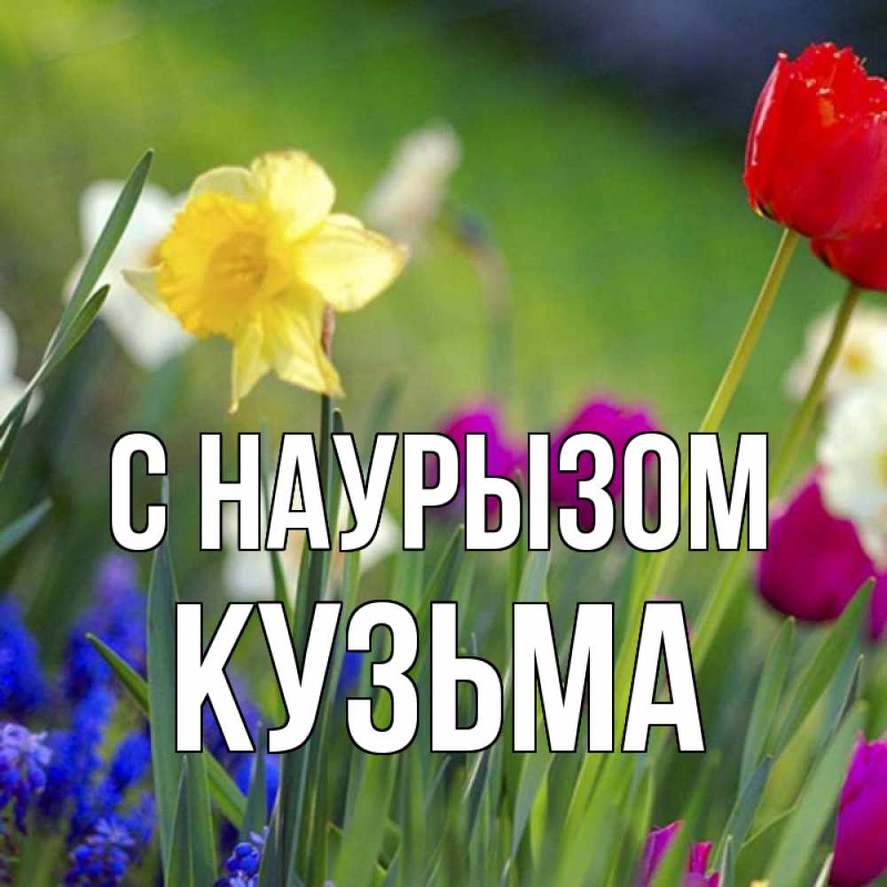 Открытка на каждый день с именем, Кузьма С наурызом праздник весны наурыз 3 Прикольная открытка с пожеланием онлайн скачать бесплатно 