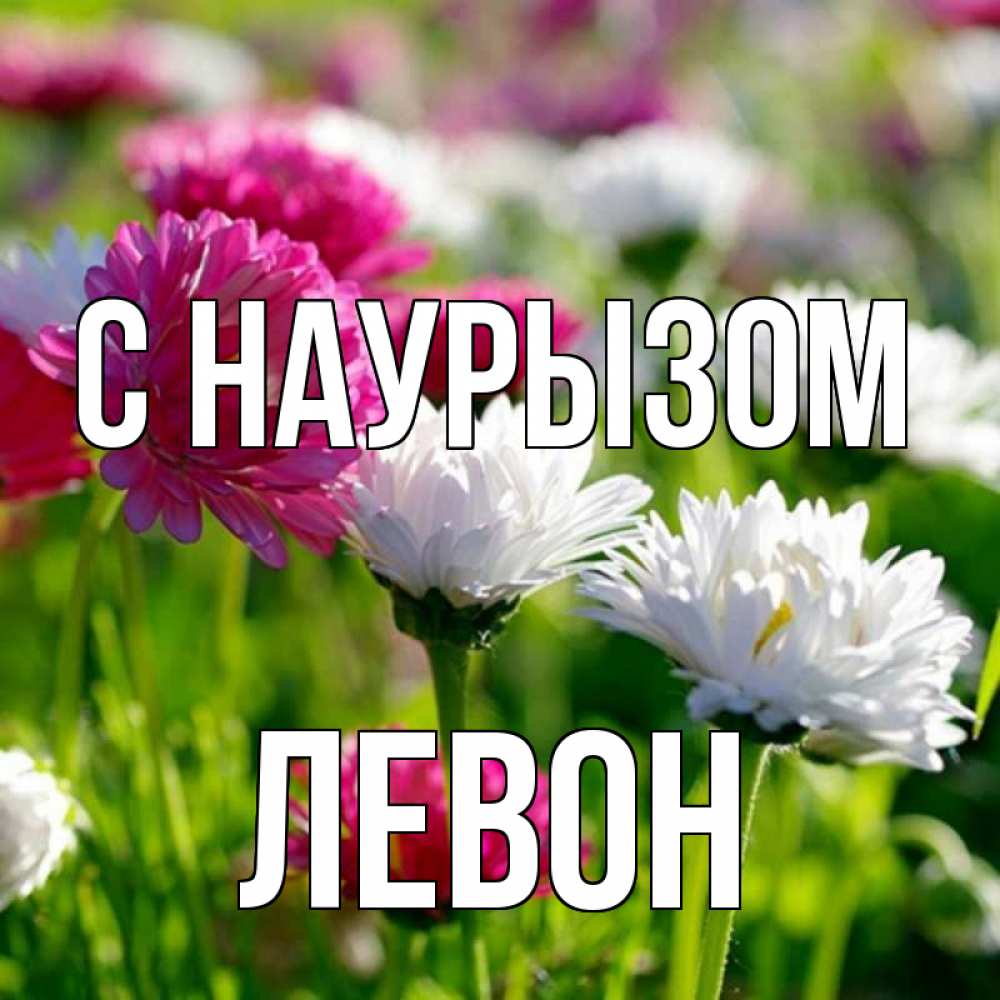 Открытка на каждый день с именем, Левон С наурызом праздник весны наурыз красота Прикольная открытка с пожеланием онлайн скачать бесплатно 