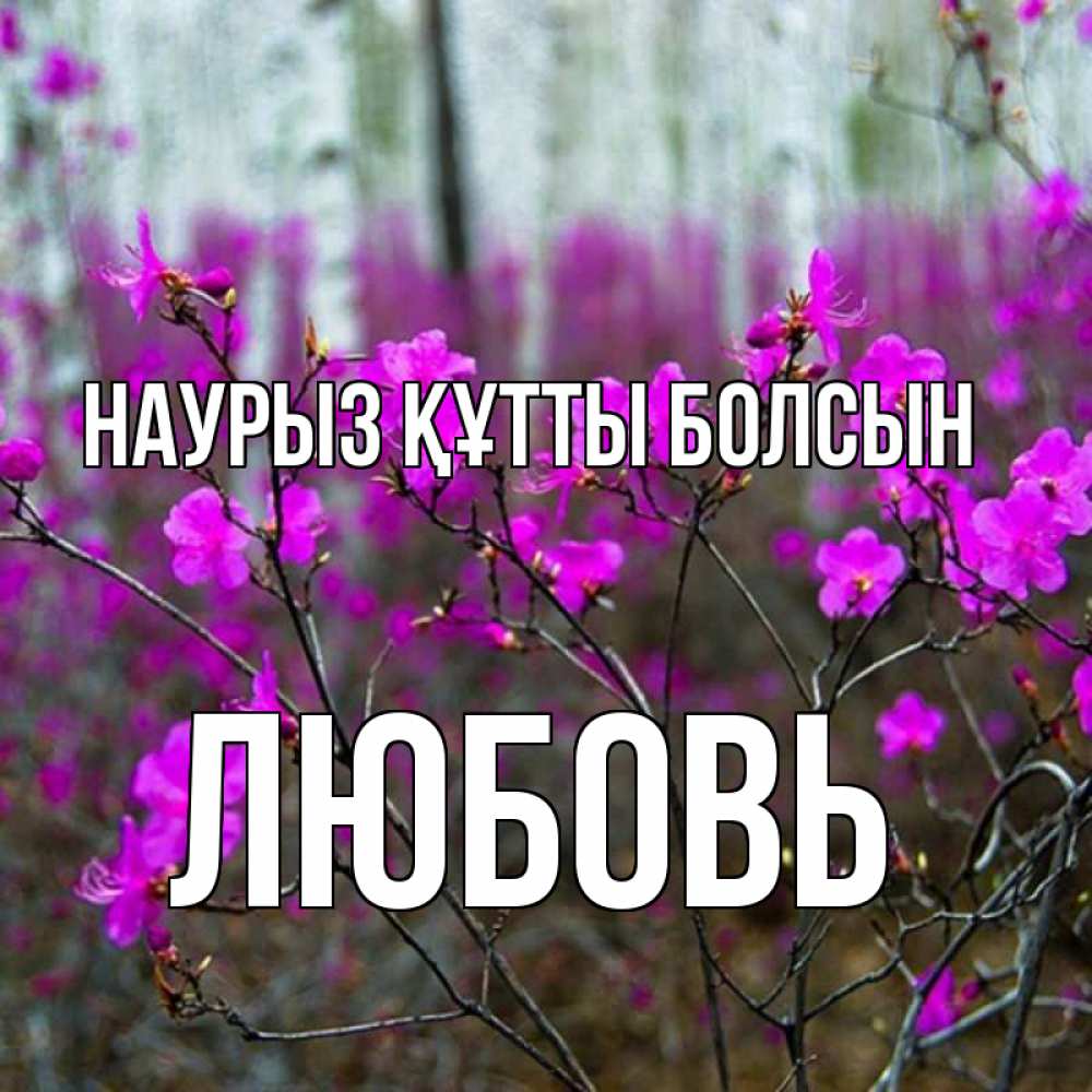 Открытка на каждый день с именем, Любовь Наурыз құтты болсын дикие цветы Прикольная открытка с пожеланием онлайн скачать бесплатно 