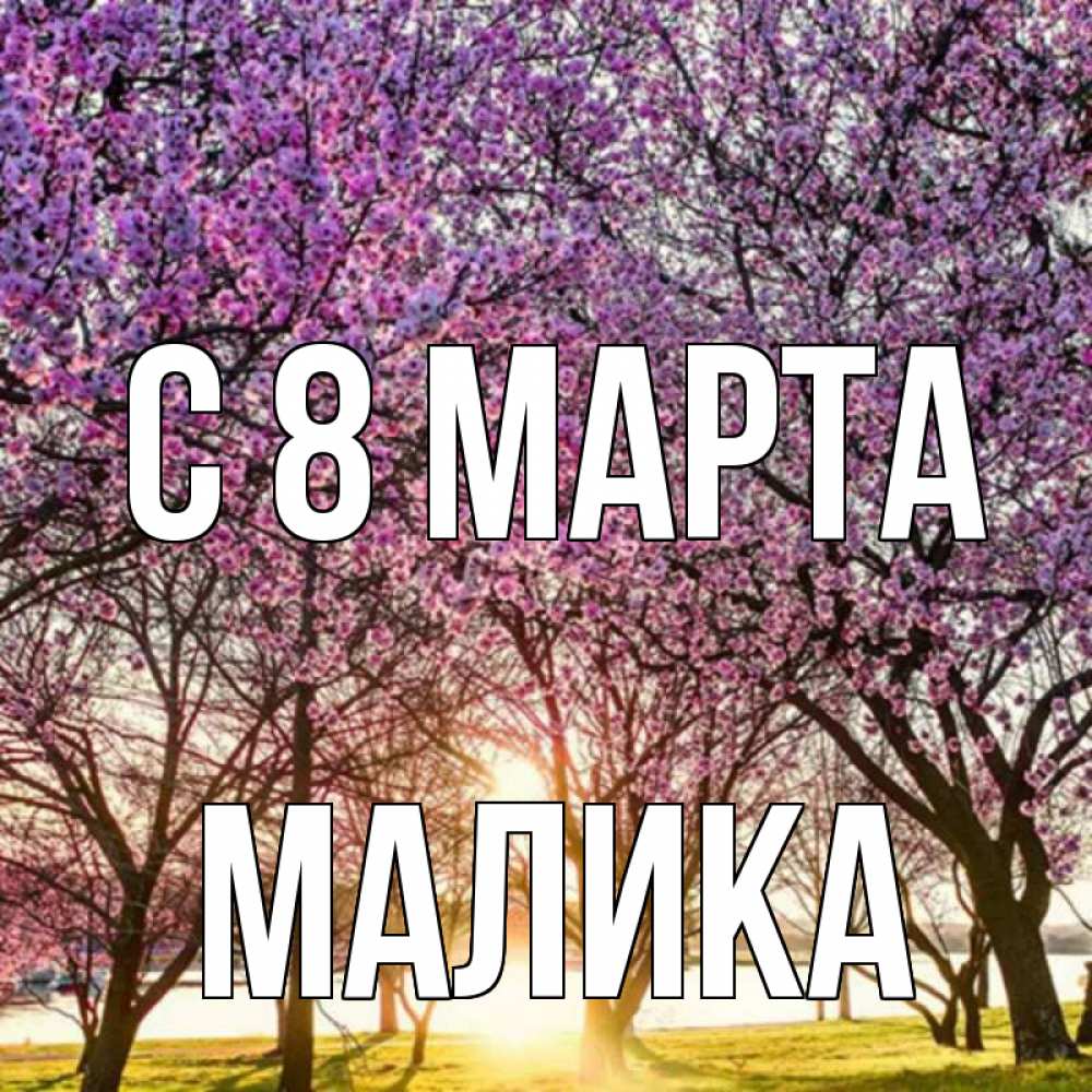 Открытка на каждый день с именем, Малика С 8 марта международный женский день Прикольная открытка с пожеланием онлайн скачать бесплатно 